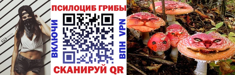 Галлюциногенные грибы прущие грибы  Курган 